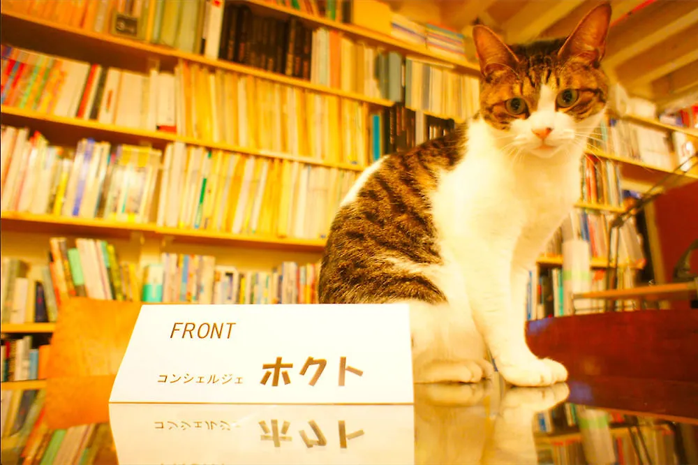 Budo No Nagaya Токио Япония